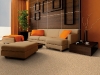thumbs carpet1 